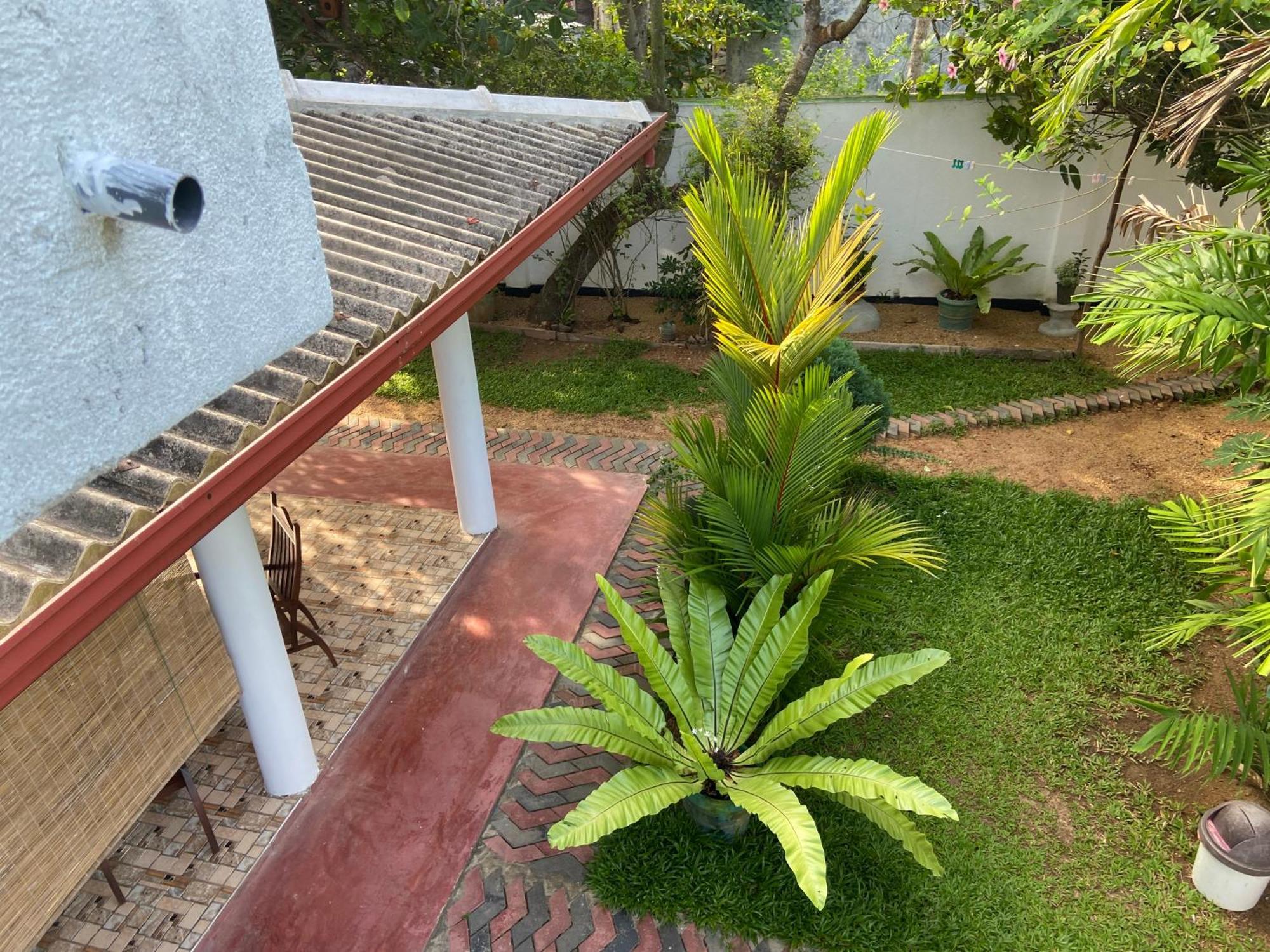 Mirissa Gold Rush Villa Екстериор снимка