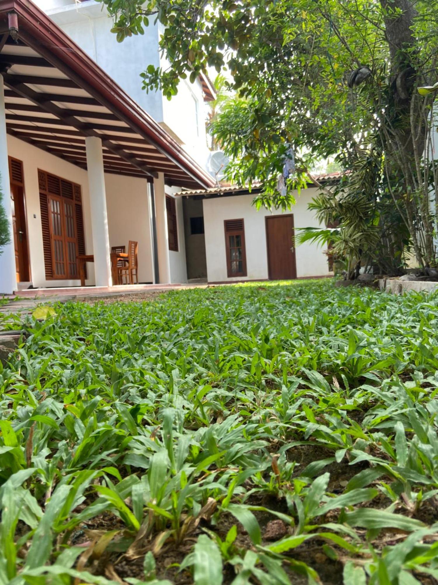Mirissa Gold Rush Villa Екстериор снимка